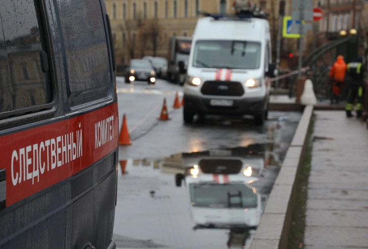 Села в машину к супружеской паре: озвучены подробности изнасилования и убийства 8-летней Вики Тепляковой