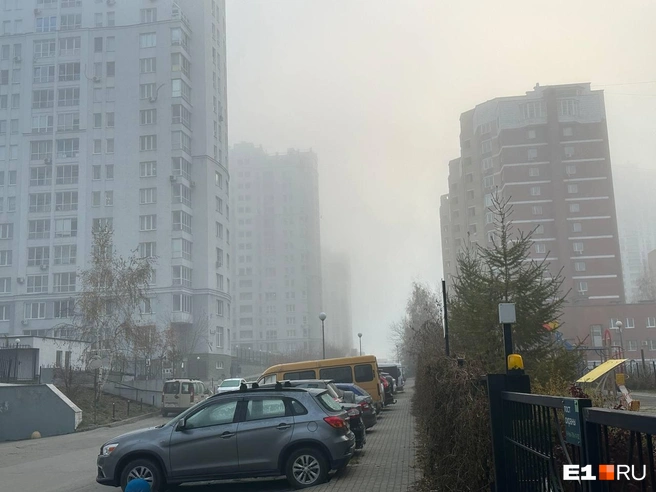Видимость в городе оставляет желать лучшего | Источник: читательница E1.RU