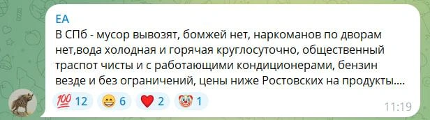Источник: Новости Ростова | 161.RU / Telegram