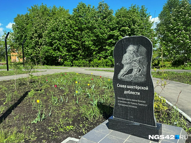 Источник: Елизавета Богатырева / NGS42.RU