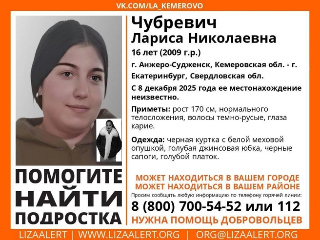 Источник: «ЛизаАлерт» Кузбасс