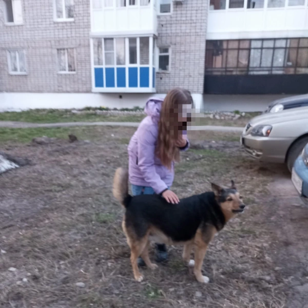 Дети, судя по фото, совсем не боятся большого пса | Источник: Ольга Рыпалева