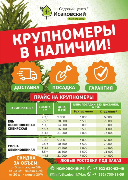 В садовом центре «Исаковский» предлагают крупномерные деревья под ключ | Источник: садовый центр «Исаковский»