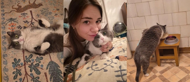 Милан проделал путь от Калининграда до Владивостока | Источник: Ideardarii / T.me