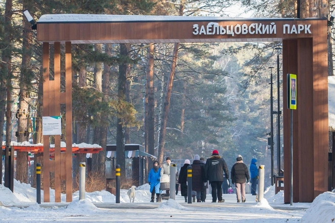 Хорошо жить можно не только у моря — кто и почему выбирает Заельцовский район | Источник: ООО «Бусы»