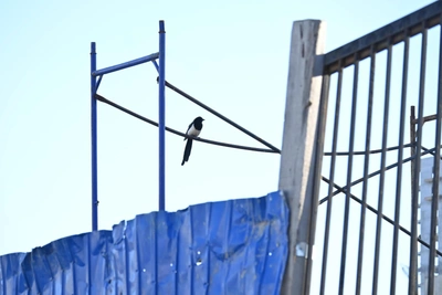 Authorities decline to list halted construction projects in Irkutsk Oblast