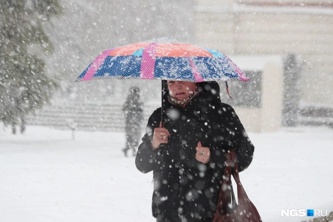 Осадки не всех застали в расплох | Источник: Андрей Бортко / NGS.RU