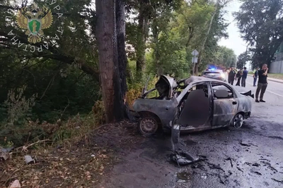 В Зеленодольске подростки врезались в дерево: шестеро погибли