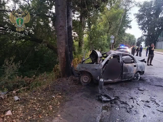В Зеленодольске машина с подростками влетела в дерево и загорелась. Из семерых выжил только один | Источник: Прокуратура РТ / T.me