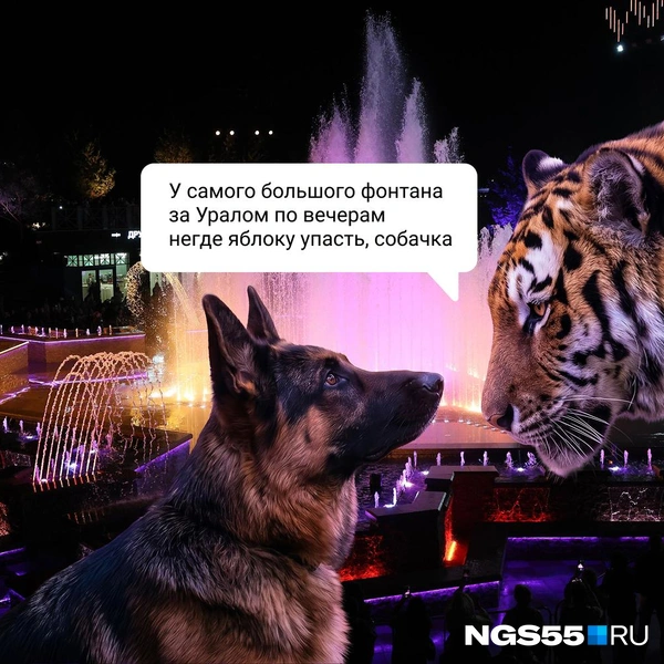 Фонтан в Омской крепости до сих пор очень интересен омичам с момента открытия в конце августа | Источник: Евгения Бикунова / Городские медиа