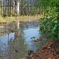 Источник: www.city-n.ru