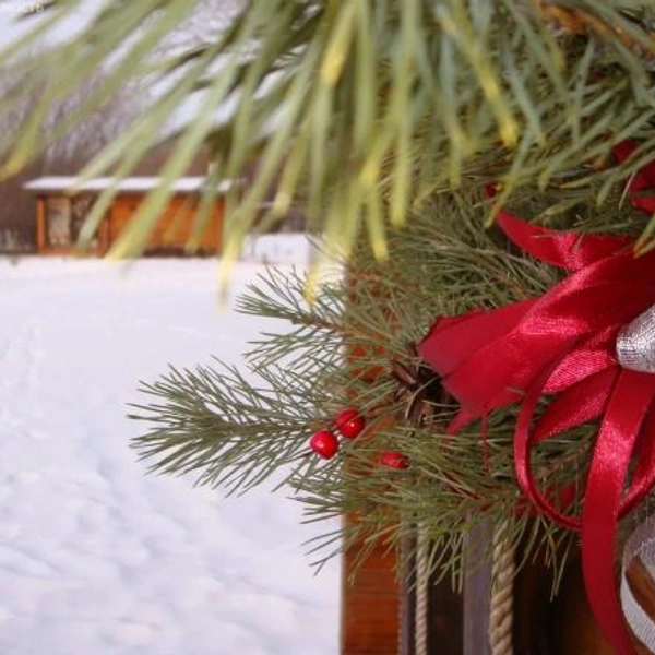 Источник: realty.yandex.ru