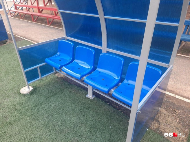 Источник: Анастасия Баринова / 56.RU