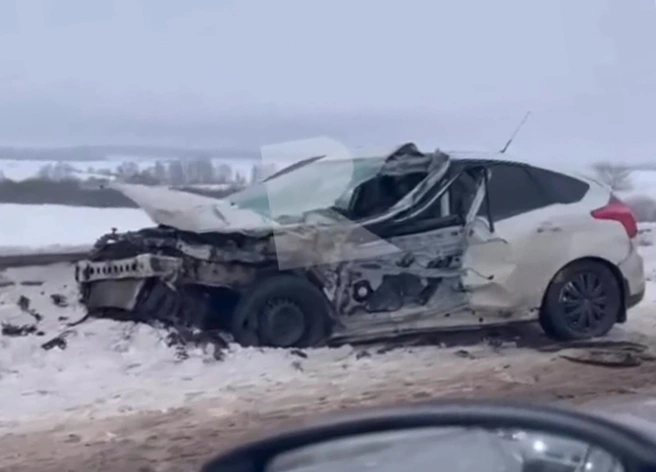 Опубликовано видео с места массового смертельного ДТП на трассе М6 в Скопинском районе | ya62.ru