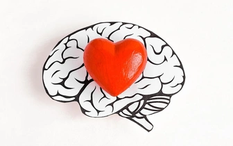 Нейробиология романтических чувств: что происходит с мозгом, когда человек влюбляется