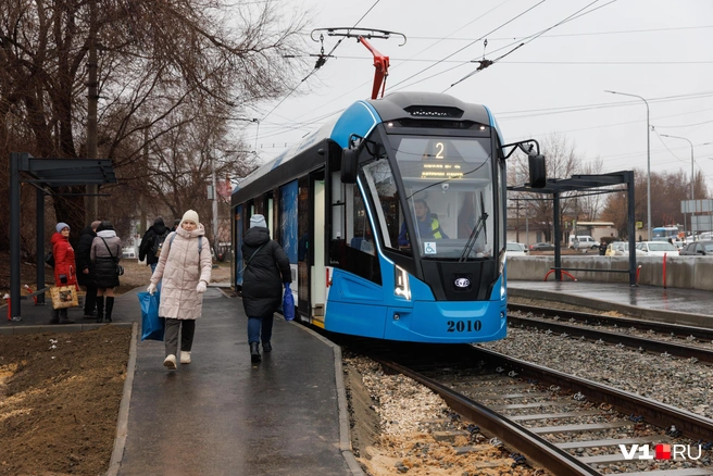 «Львята» вновь перевозят пассажиров | Источник: Алексей Волхонский / V1.RU