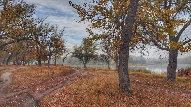 Рыбачат на водоеме даже зимой | Источник: Ирина Голоколенова