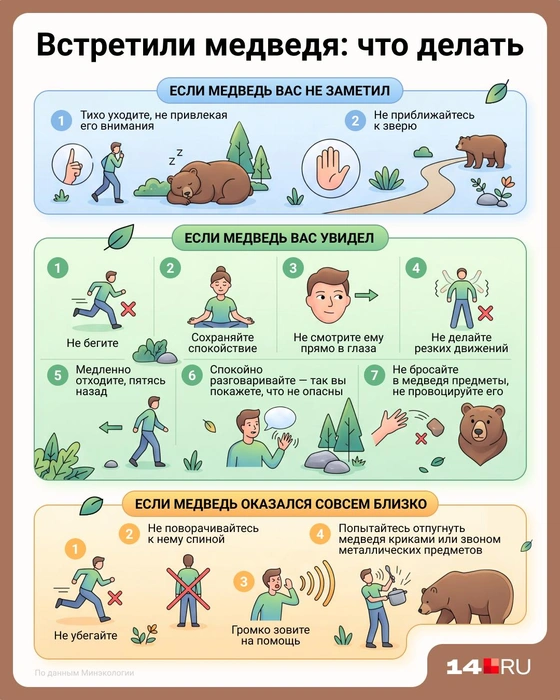 Порядок действий в картинках  | Источник: Евгения Бикунова / Городские медиа