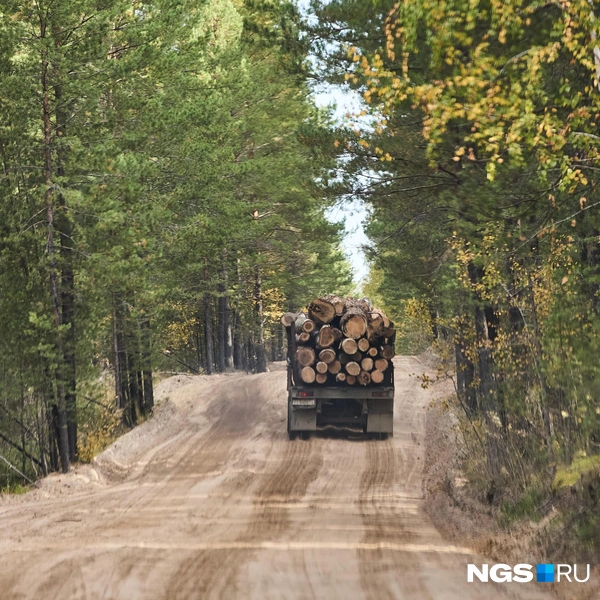 Дороги разбивают лесовозы | Источник: Александр Ощепков / NGS.ru
