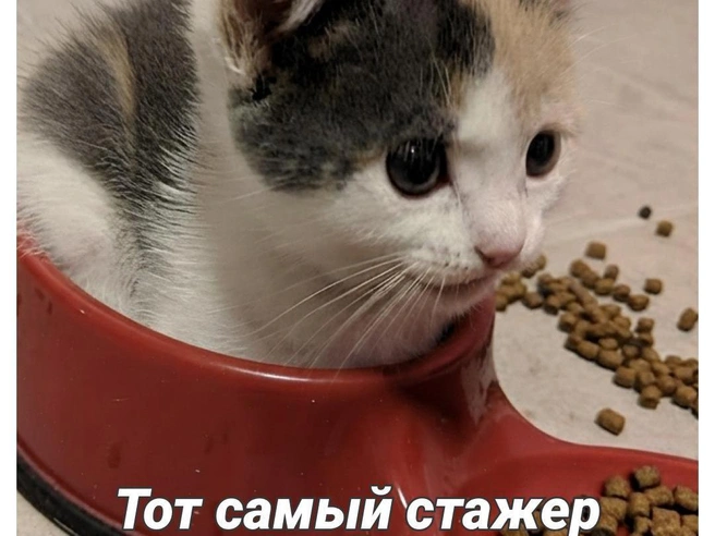 Со временем он во всём разберётся | Источник: Полина Авдошина / Городские медиа