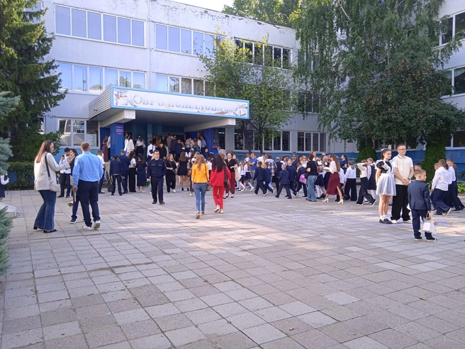 Инспектор ПДН постоянно работает со школами | Источник: Дмитрий Сильнов / 173. RU