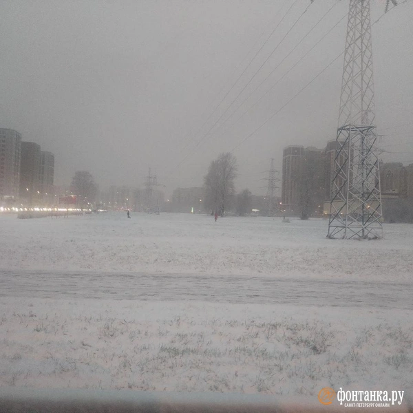 Источник: FONTANKA.RU