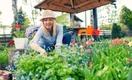 Наполнят весной ваш сад нежностью: 7 первоцветов для украшения дачного ландшафта после зимы