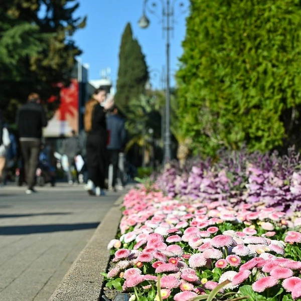 Источник: sochi.ru