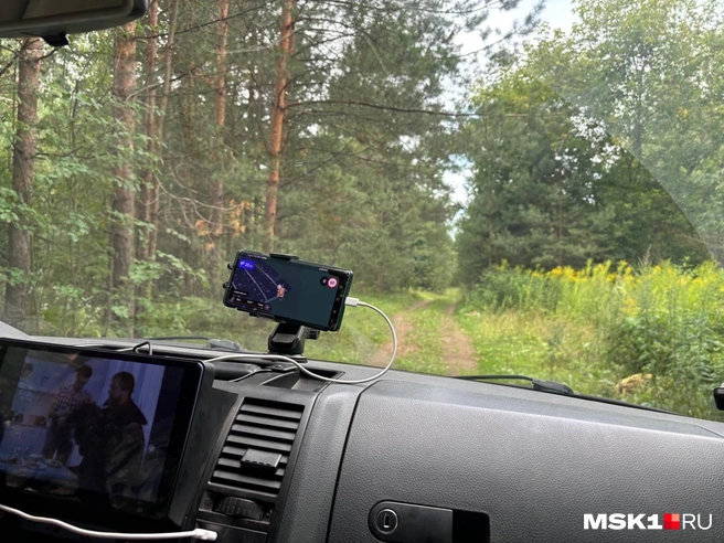 Не каждый автомобиль пройдет по лесной дороге, особенно после дождя | Источник: Диана Храмцова / MSK1.RU