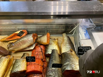 Источник: Никита Кифорук / 72.RU