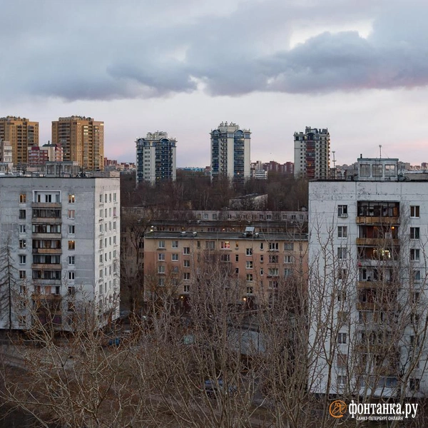 Источник: Сергей Николаев / «Фонтанка.ру»