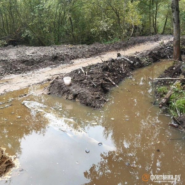 Источник: Ольга Ясененко