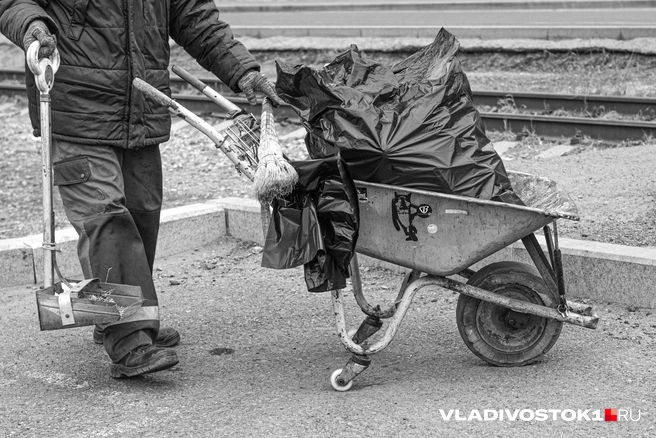 Источник: Елена Буйвол / VLADIVOSTOK1.RU
