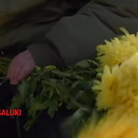 Аватарка Lina163