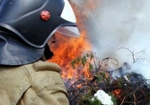 В РФ создается спецдесант для тушения лесных пожаров | ya62.ru