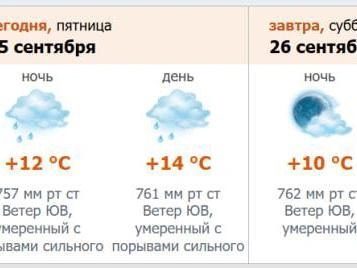 Источник: скриншот с meteo.nw.ru