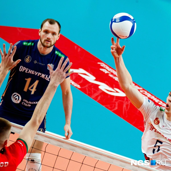 Источник: Андрей Бортко / NGS.RU