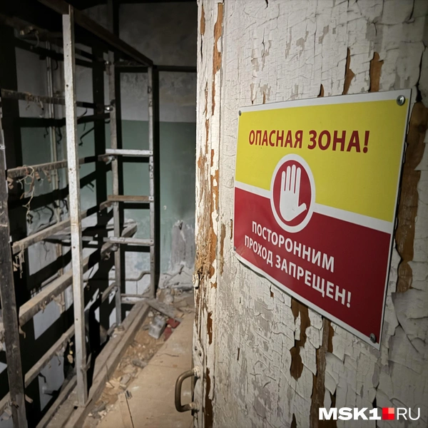 Источник: Алина Мельникова / MSK1.RU