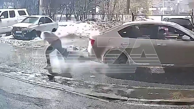 Не из большого ума | Источник: baza / t.me