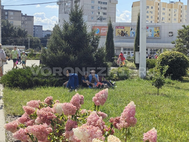 Ногам отдых нужен особенно | Источник: Андрей Пашинский /Voronezh1.ru