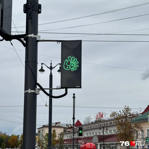 Кружевная птичка загорается для пешеходов зеленым, когда проход разрешен, красным, когда нужно подождать | Источник: Ксения Ткаченко / 76.RU