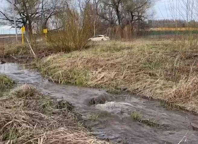 Рязанец показал на видео бурный ручей, стекающий с Хамбушевской свалки | 62.ru