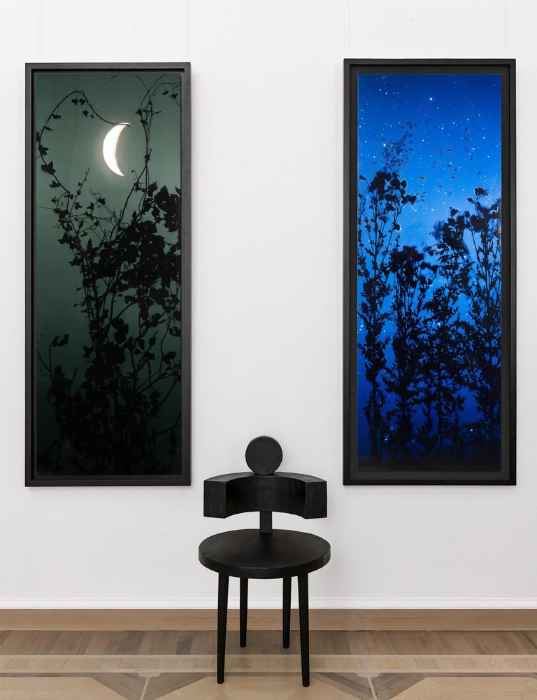 Сьюзан Дерджес. «Фотограммы», 2002 год. | Источник: Сергей Красюк