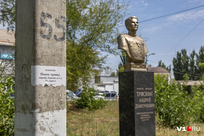 Кажется, что чиновники администрации могли бы обратиться по объявлению, раз у самих не находится сил и желания | Источник: Константин Завриков / V1.RU