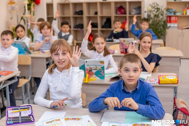 Хотите, чтобы ваш ребенок так же тянул руку на каждом уроке? Ищите подход. Деньги не предлагать! | Источник: Михаил Шуклин / NGS24.RU