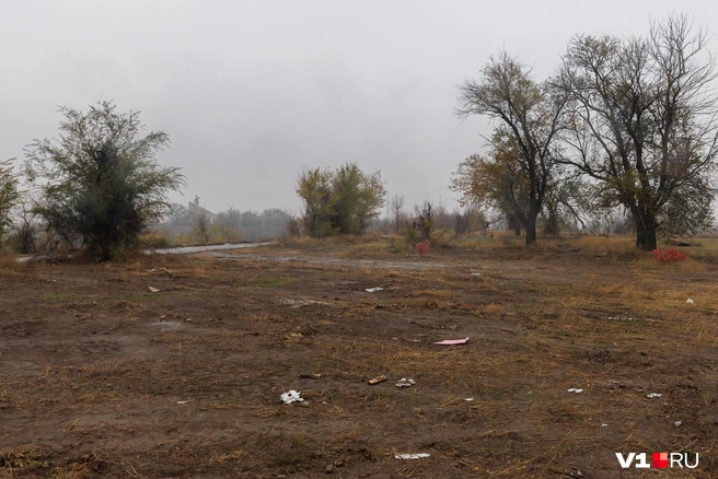 Обломки кладбищенских оградок — вот всё, что осталось от места упокоения домашних животных волгоградцев | Источник: Алексей Волхонский / V1.RU