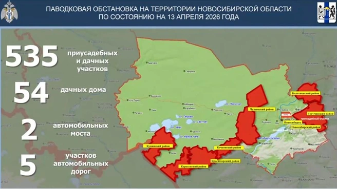 Карта проблемных районов | Источник: правительство Новосибирской области, ГУ МЧС по Новосибирской области