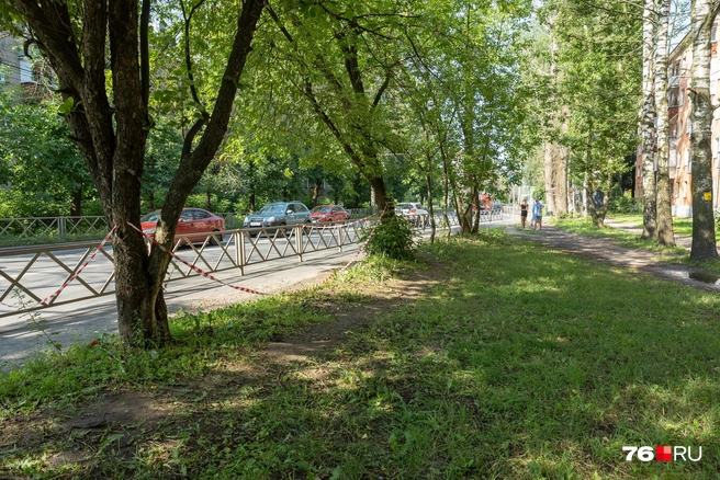 Тело одного из парней нашли у этого забора | Источник: Александр Куренной / 76.RU