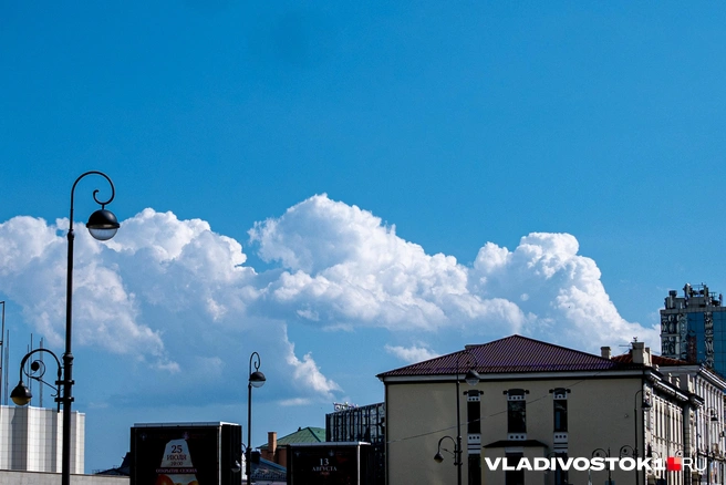 Ветра не будет | Источник: Елена Буйвол / VLADIVOSTOK1.RU
