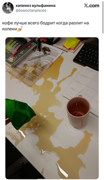 Источник: X (Twitter)